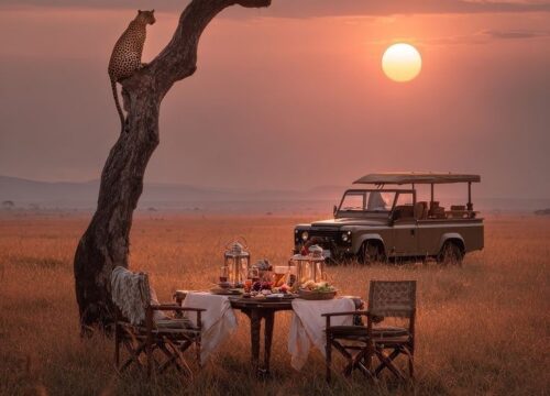 Bush Dining & Sundowners